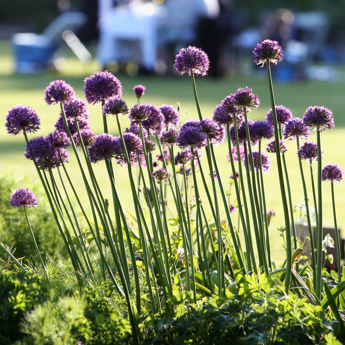 Gender pay gap reporting