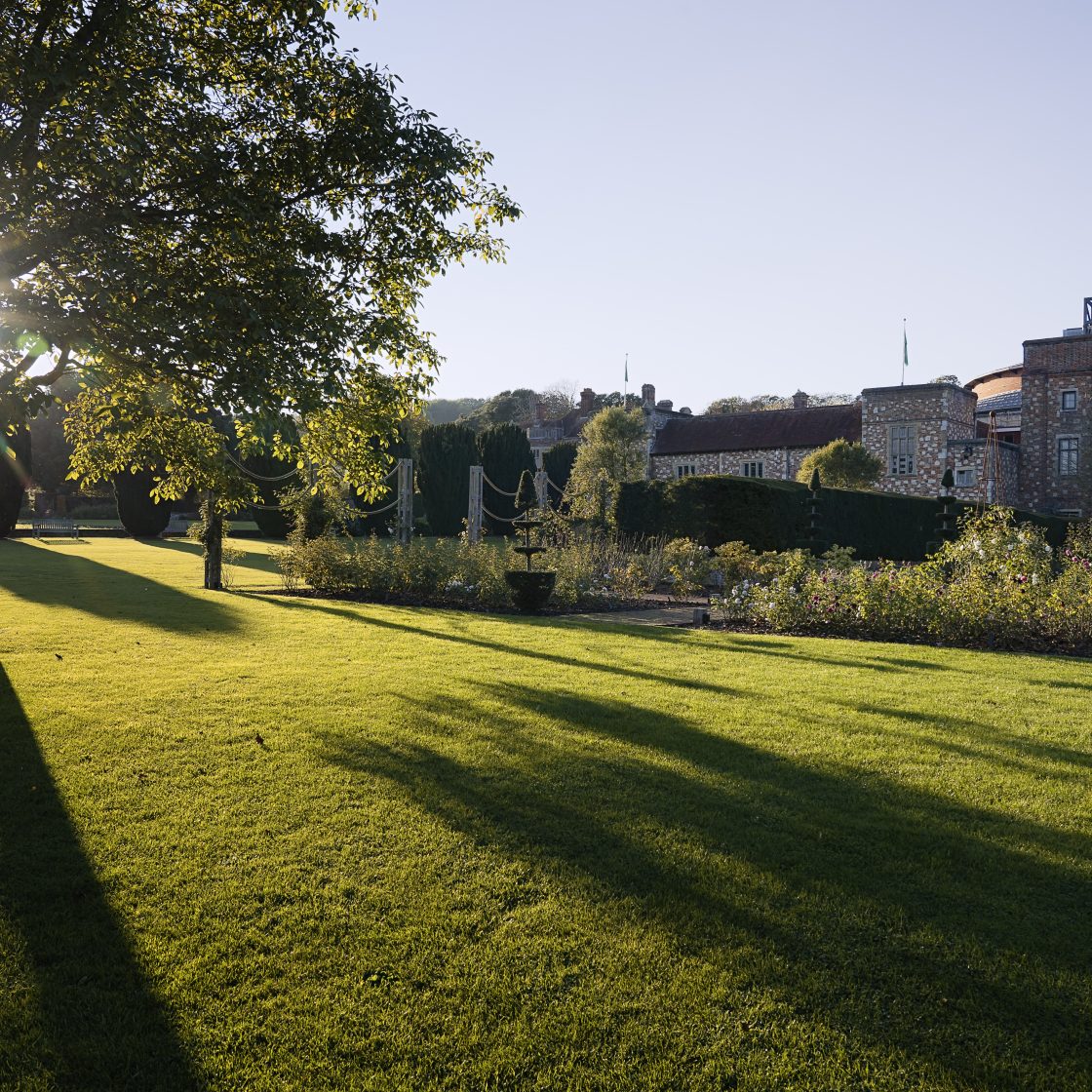 Disability Confident