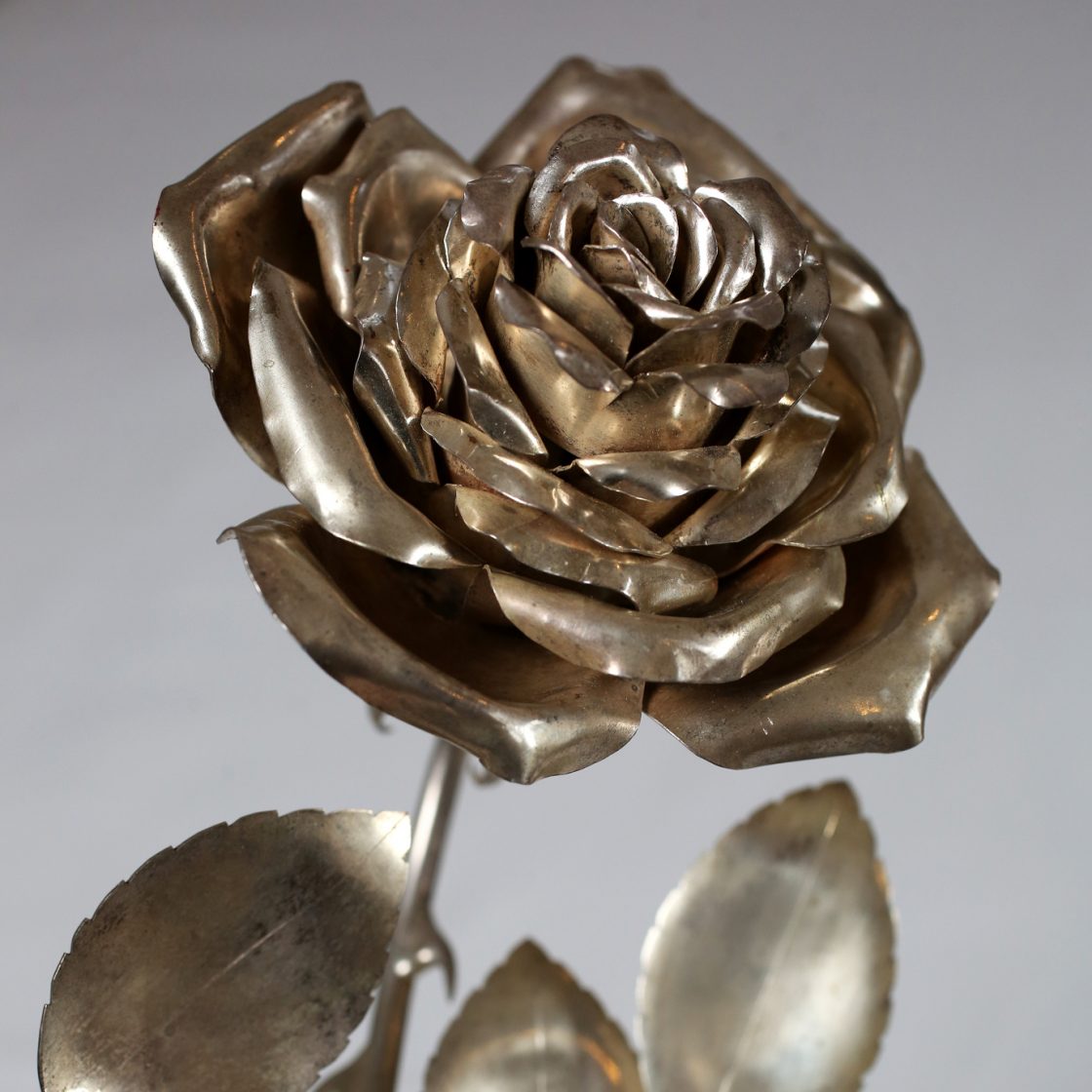 The rose from the 1980 production of Der Rosenkavalier (Photo: Sam Stephenson).