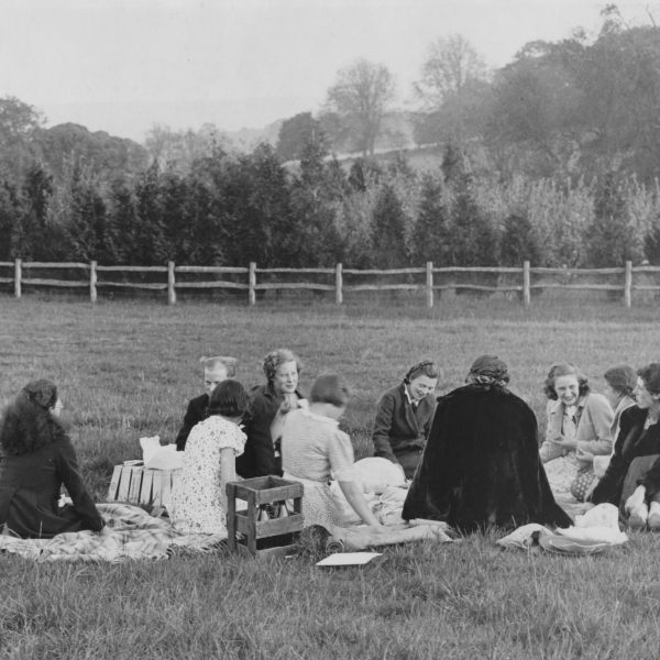 Food and drink at the Festival