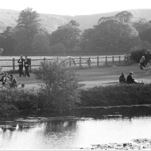 Stories from the Archive – seaside, water and sea-creatures
