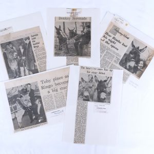 Stories from the Archive – Animals