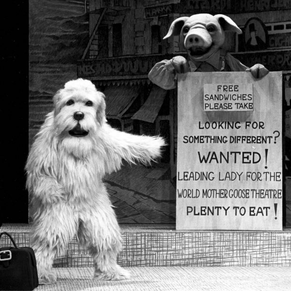 Higglety Pigglety Pop!