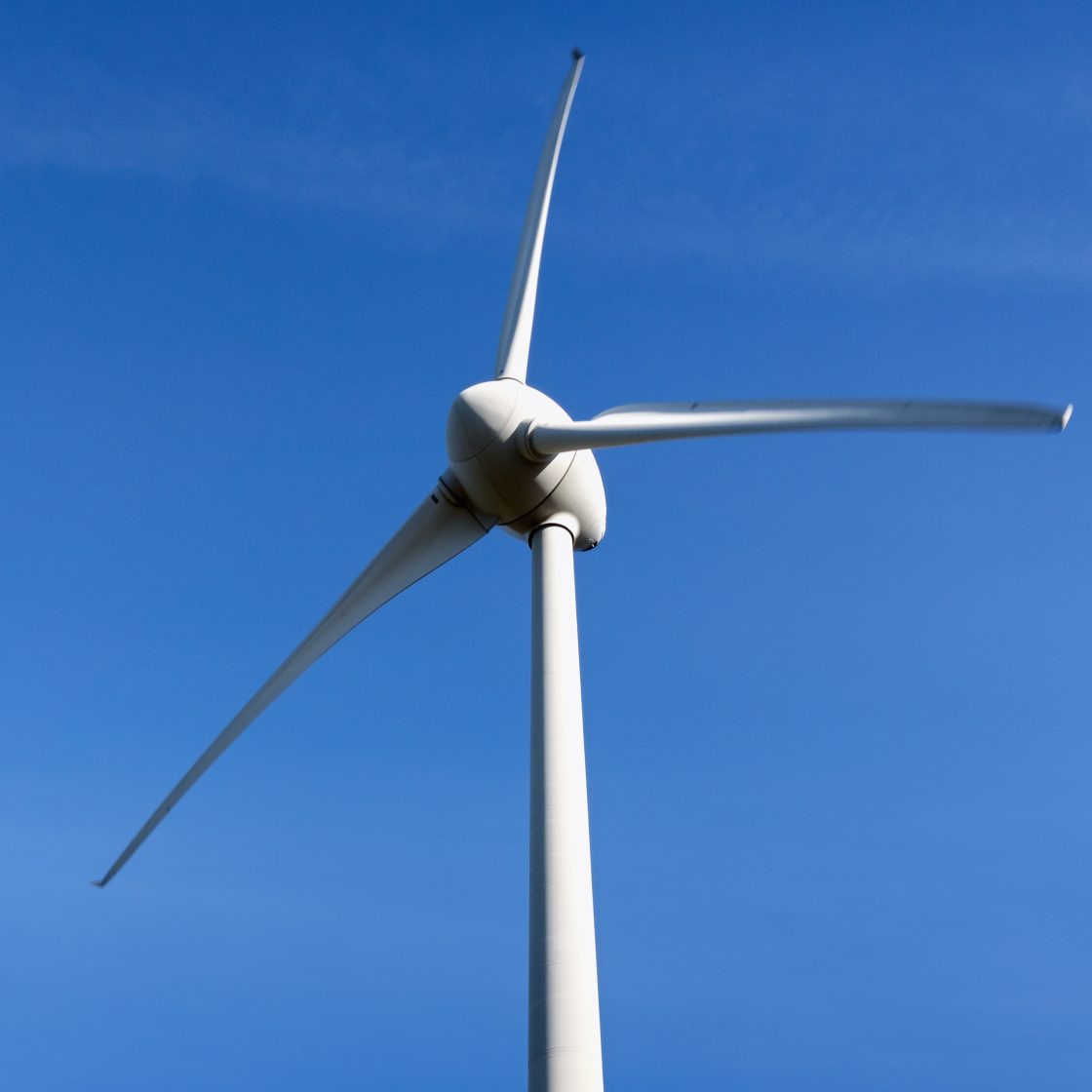 Glyndebourne and the environment