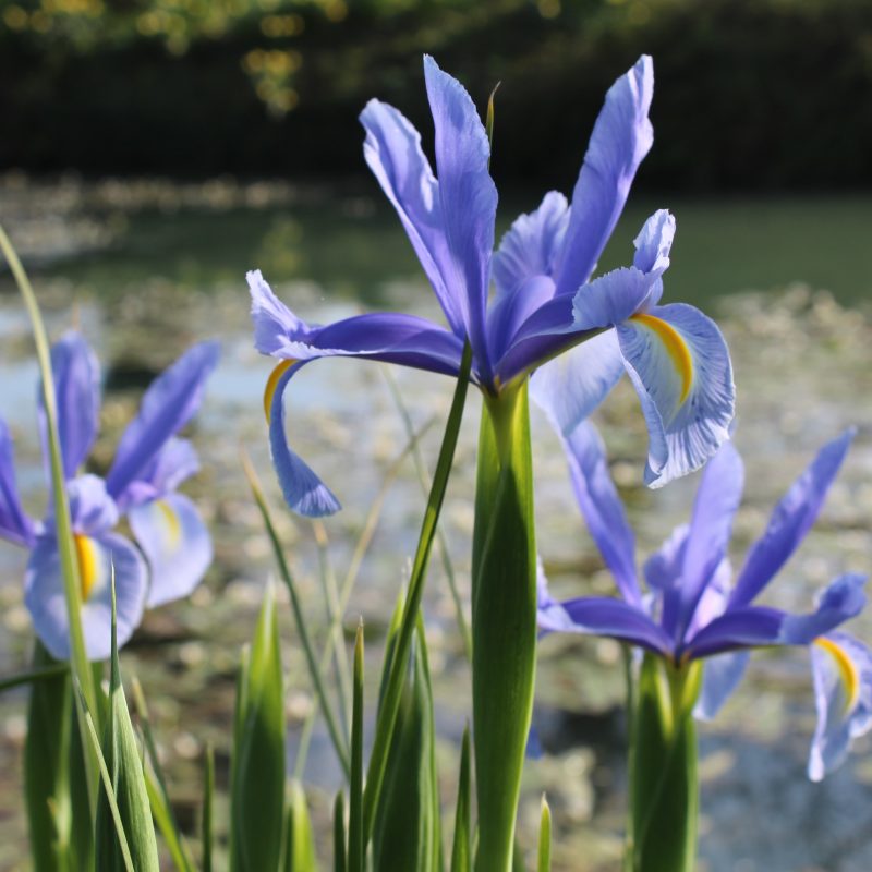 Retail Administration & Customer Support Assistant