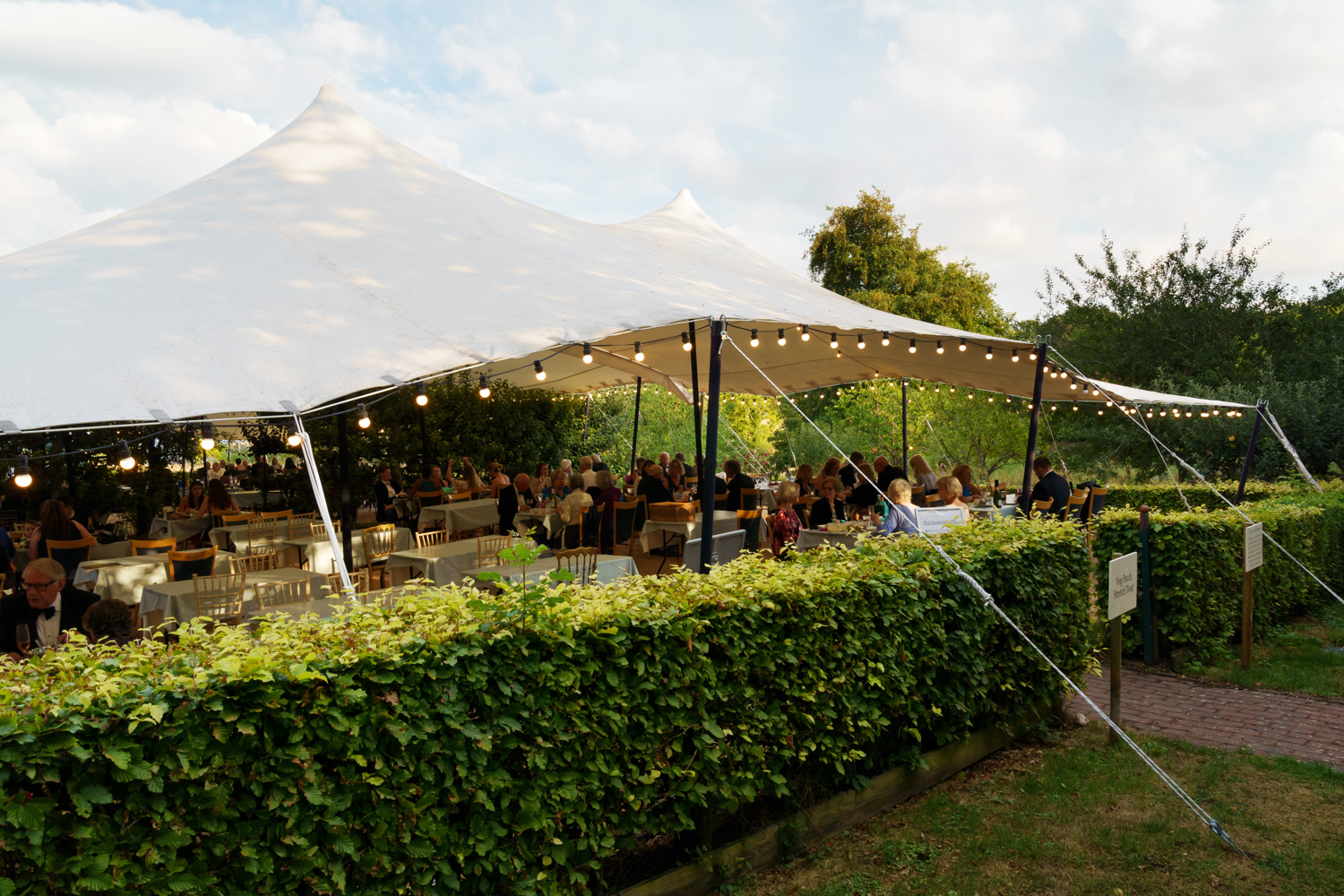 Picnicking and dining 