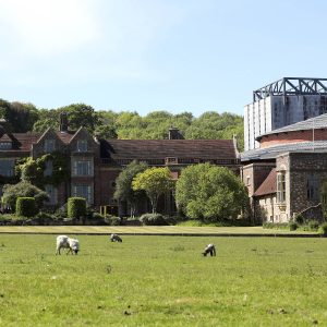 Work experience, apprenticeships and internships