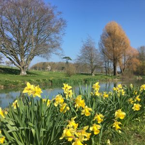 Open Gardens 2023 – sold out