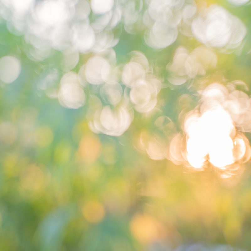 Guide to Festival 2026 Operas